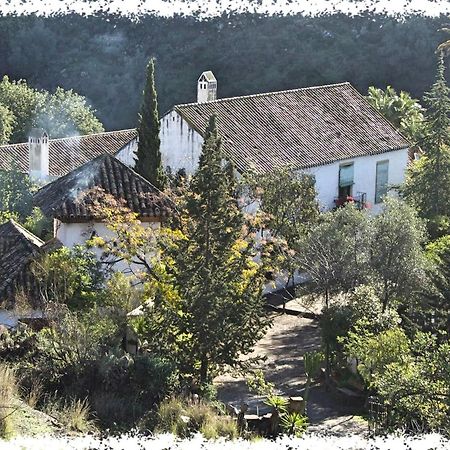 マラガ Cortijo Casas Viejasヴィラ エクステリア 写真