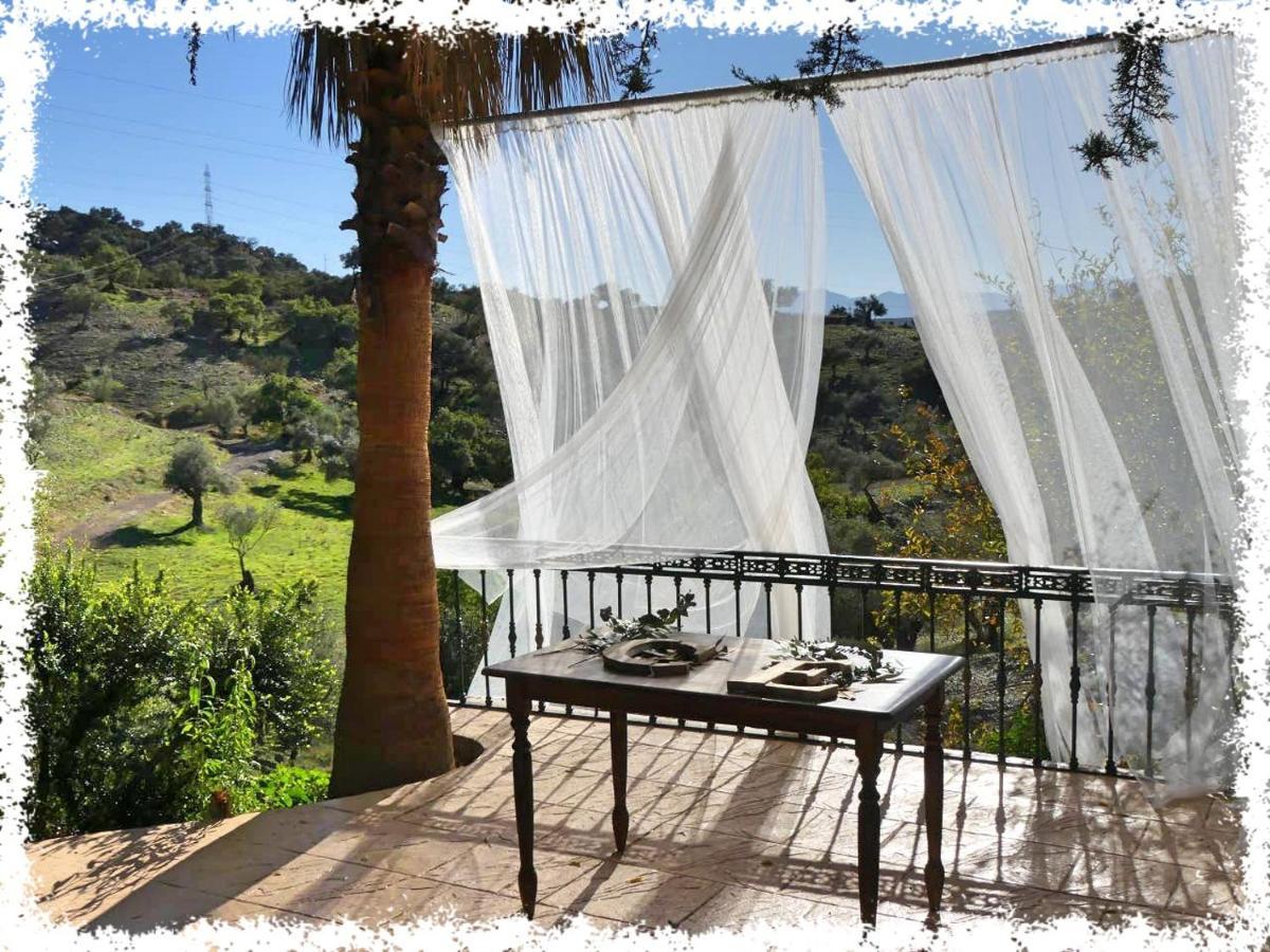 マラガ Cortijo Casas Viejasヴィラ エクステリア 写真