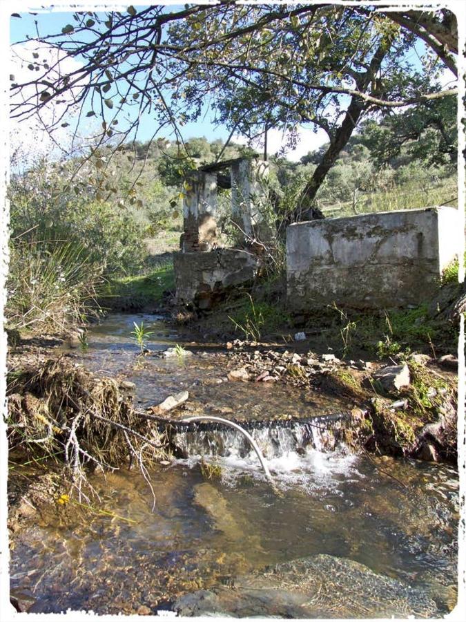 マラガ Cortijo Casas Viejasヴィラ エクステリア 写真