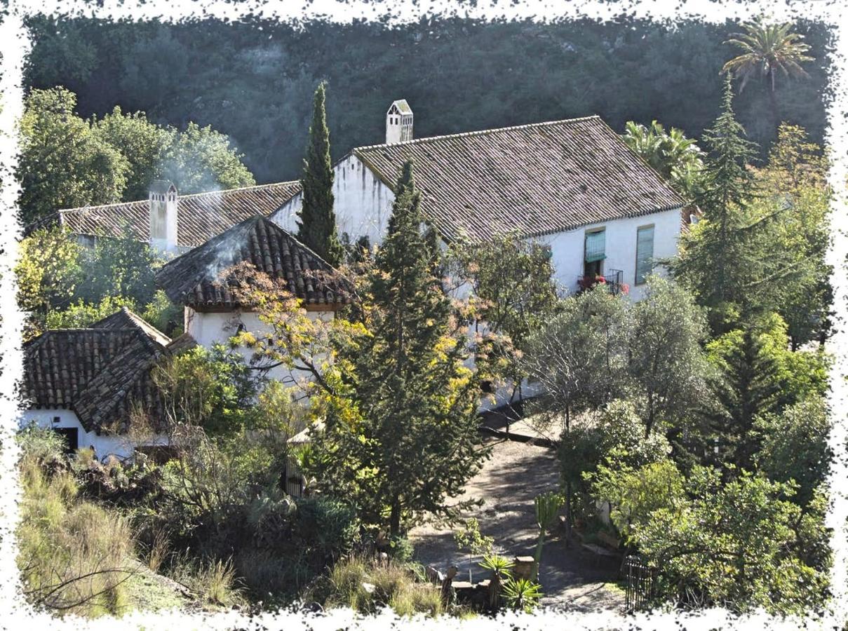 マラガ Cortijo Casas Viejasヴィラ エクステリア 写真